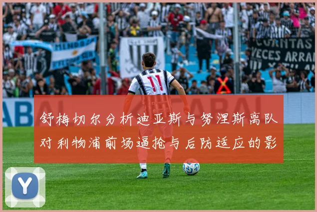 舒梅切尔分析迪亚斯与努涅斯离队对利物浦前场逼抢与后防适应的影响