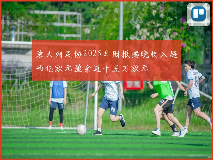 意大利足协2025年财报揭晓收入超两亿欧元盈余近十五万欧元